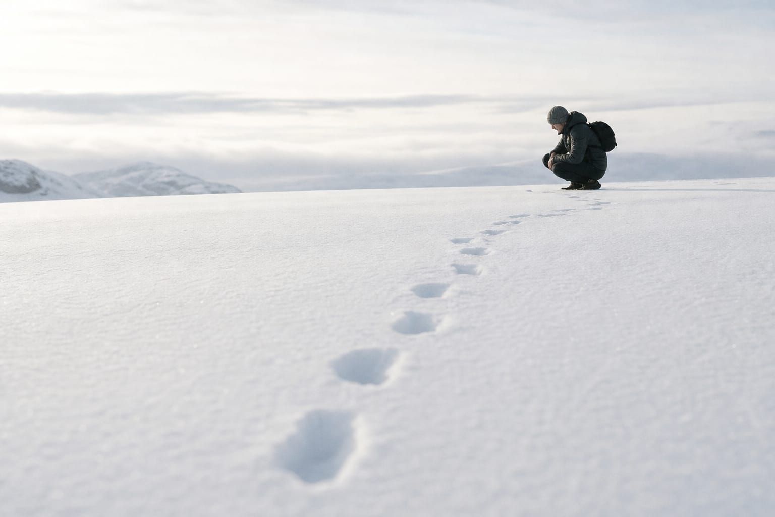 Un rastro de huellas en la nieve y una persona agachada que lo examina